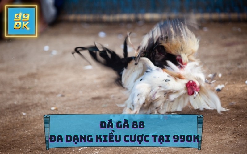 Đa dạng các thể loại cược và loại hình tại đá gà 99OK